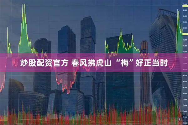 炒股配资官方 春风拂虎山 “梅”好正当时